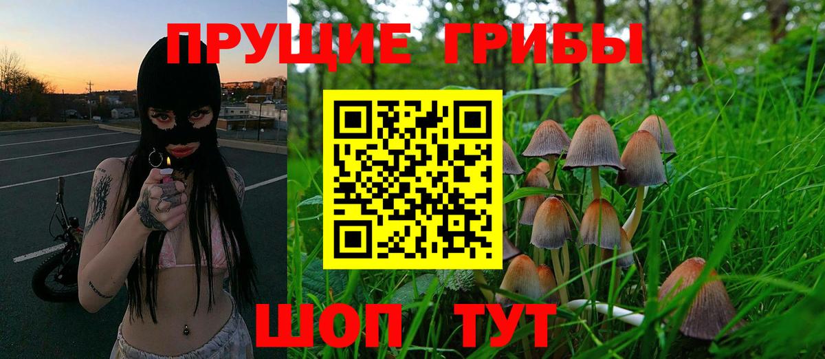 Галлюциногенные грибы MAGIC MUSHROOMS  Вход с VPN  Радужный  Псилоцибиновые грибы мицелий 